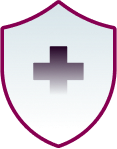 Shield icon